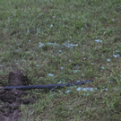 070811vugmaktivnews28.JPG