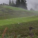 070811vugmaktivnews26.JPG
