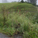070811vugmaktivnews24.JPG