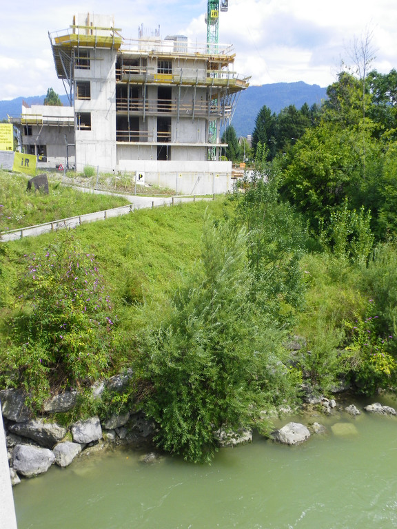 112_2752_JPG-1312793736