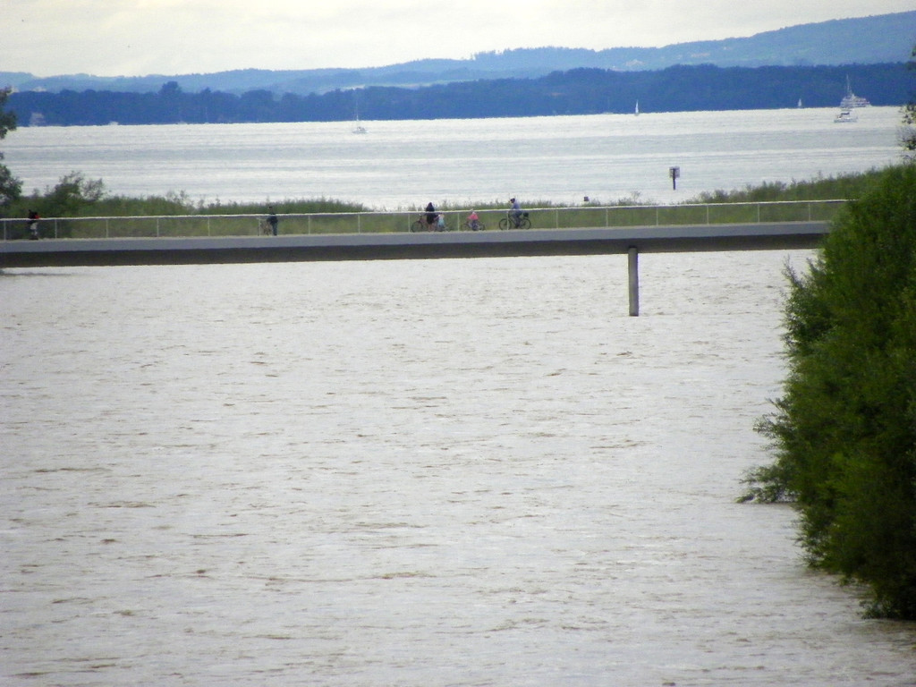 112_2997_JPG-1312798128