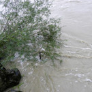 112_3004_JPG-1312798178