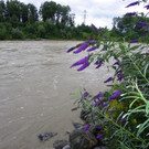 112_3006_JPG-1312798189