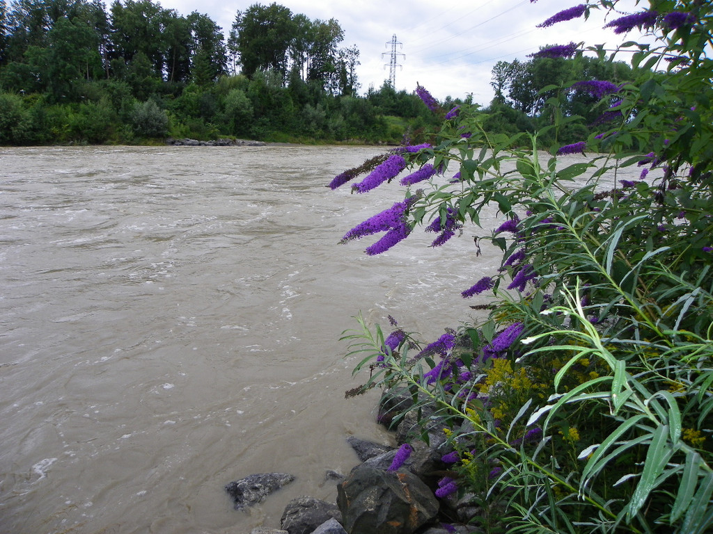 112_3006_JPG-1312798189