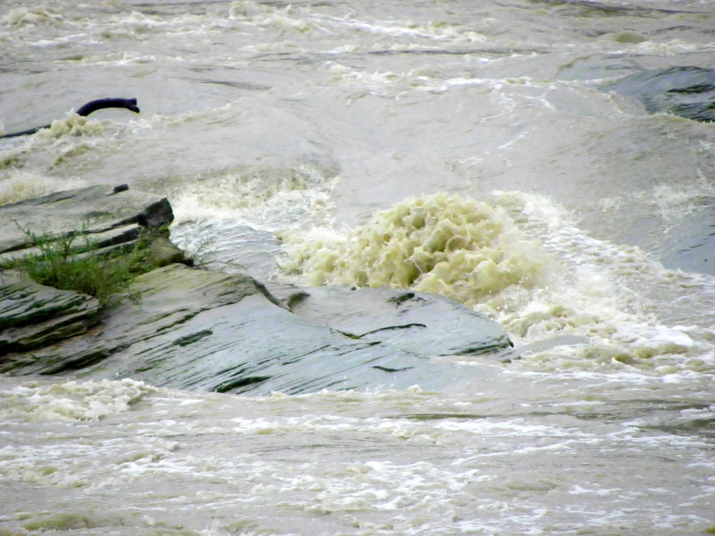 112_3000_JPG-1312798560