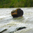 112_3003_JPG-1312798579