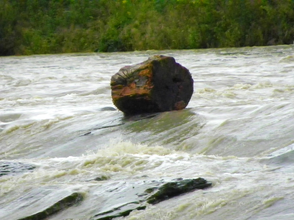 112_3003_JPG-1312798579