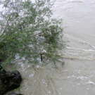 112_3004_JPG-1312798589