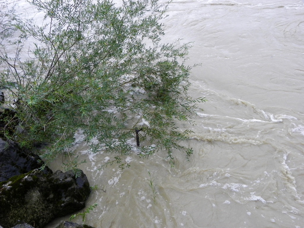 112_3004_JPG-1312798589