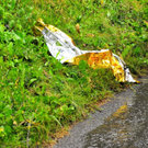 normal_08082011vuposaunermbaktivnews006.jpg