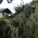 Unwetter NÖ: August 2011