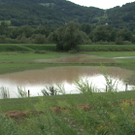 Sequenz 01_6_Kopie.jpg