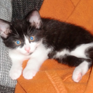 CIMG3916 - Kopie.JPG