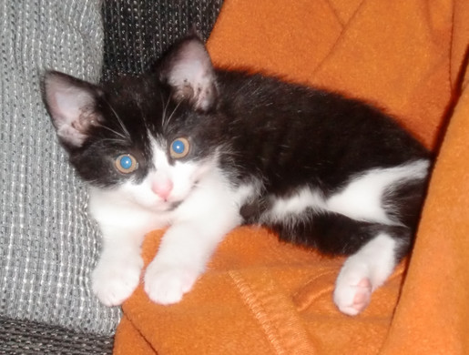 CIMG3916 - Kopie.JPG