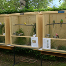 Freilandschau 2011 037.jpg