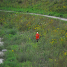 normal_08082011salzachvermisstaktivnewshs003.jpg