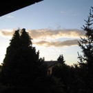IMG_8726 _Large__JPG-1312870420