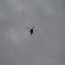 08082011fmt_suchaktion_ta_006.JPG