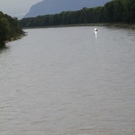 08082011fmt_suchaktion_ta_010.JPG