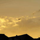 08082011fmt_suchaktion_ta_017.JPG