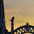 08082011fmt_suchaktion_ta_019.JPG