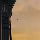 08082011fmt_suchaktion_ta_020.JPG
