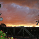 08082011fmt_suchaktion_ta_027.JPG