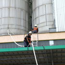 normal_09082011fmt_glutnestsilo_mw_28.JPG