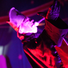 DSC_7002_jpg-1312884839