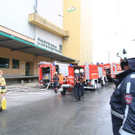 normal_09082011brandffaktivnews_09.jpg