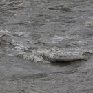 normal_090811hochwassergmaktivnews03.JPG