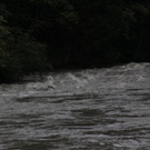 normal_090811hochwassergmaktivnews06.JPG