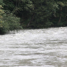 normal_090811hochwassergmaktivnews07.JPG