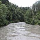 normal_090811hochwassergmaktivnews09.JPG
