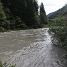 normal_090811hochwassergmaktivnews26.JPG