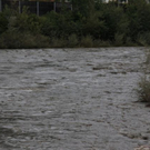 normal_090811hochwassergmaktivnews30.JPG