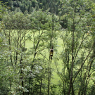 normal_09082011fmt_lkwvub21_fm_06.jpg
