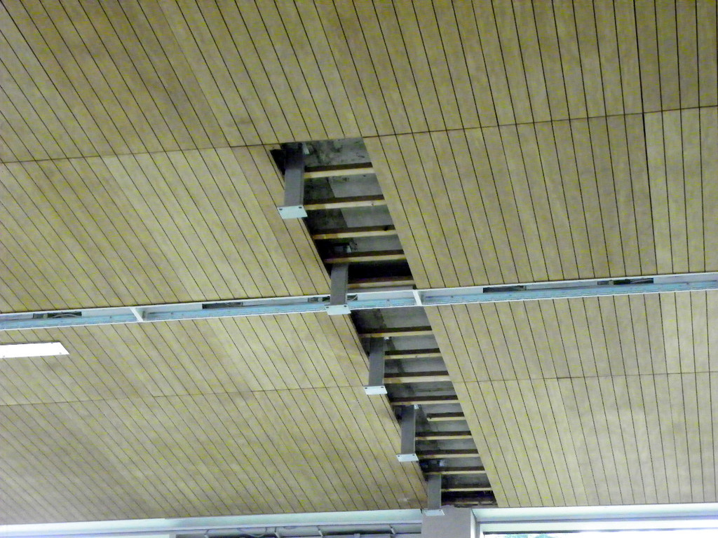 112_2594_JPG-1312912485