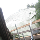 e-110809-13.jpg