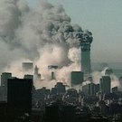 203000.jpg