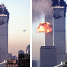 431300.jpg