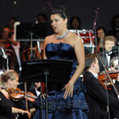 IBD0008-20110807.jpg