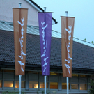 4981673.jpg