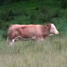 ABD0029-20110802.jpg