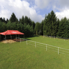 ABD0059-20110810.jpg
