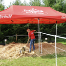 ABD0060-20110810.jpg