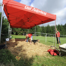 ABD0061-20110810.jpg
