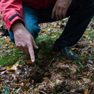 ABD0063-20110808.jpg