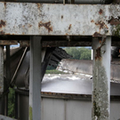 normal_10082011fmt_verpuffung_fm_06.jpg