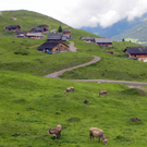 DSCN5023.JPG